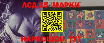 гашик Новодвинск