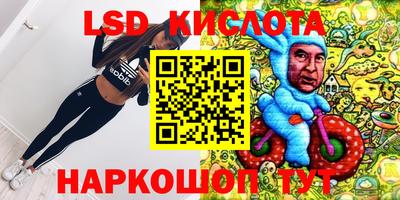 гашик Новодвинск