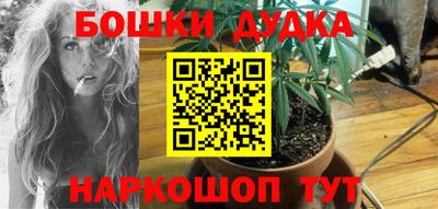 гашик Новодвинск