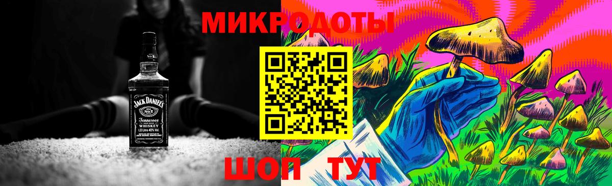 купить закладку  Вход с VPN  Советская Гавань  Псилоцибиновые грибы Psilocybe  Псилоцибиновые грибы Psilocybe 